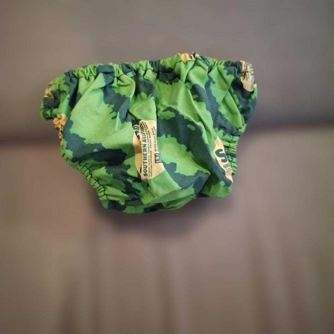 T*r様 ★サザンオールスターズ★ すいか 初回限定盤