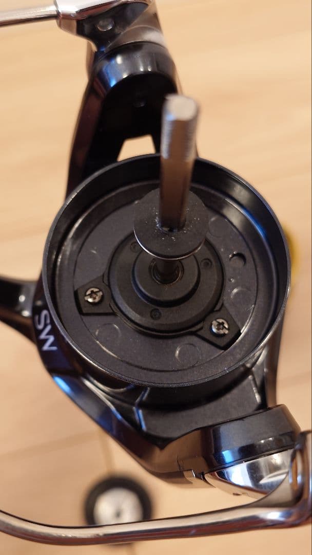 リール STELLA SW10000PG