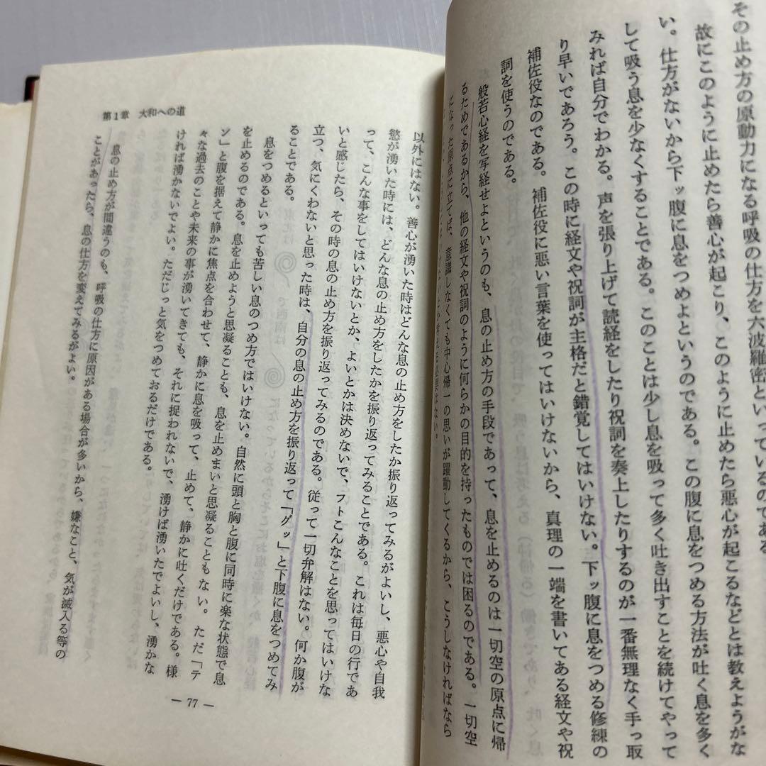 人類は生き残れるか　日本に秘められた真言を解く　　　　浜本末造 橘香道　般若心経
