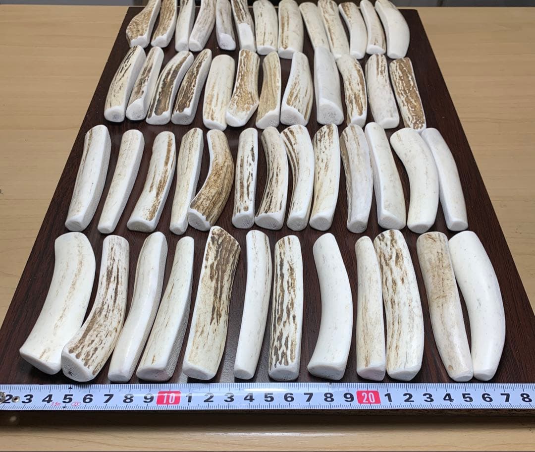 No.2190『鹿角4つ割り100本セット』鹿の角　エゾ鹿　鹿角　蝦夷鹿
