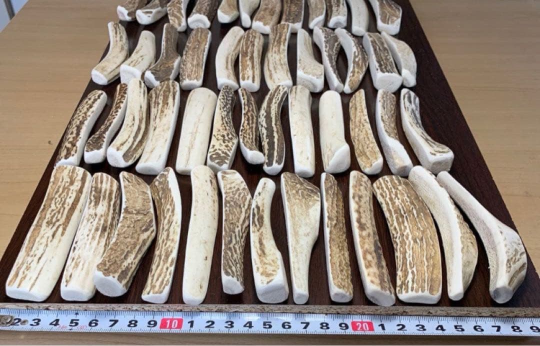 No.2190『鹿角4つ割り100本セット』鹿の角　エゾ鹿　鹿角　蝦夷鹿