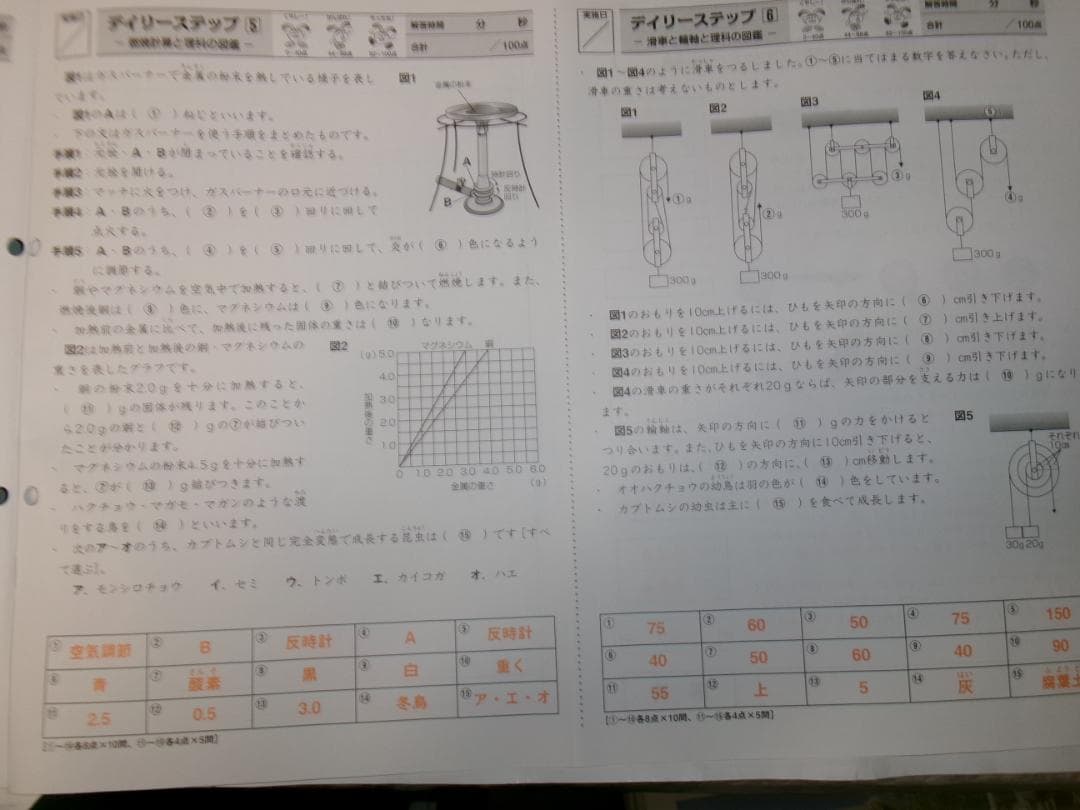 サピックス＊デイリーサピックス＊５年 小５＊理科／全３７回 完全版＊２０２４年