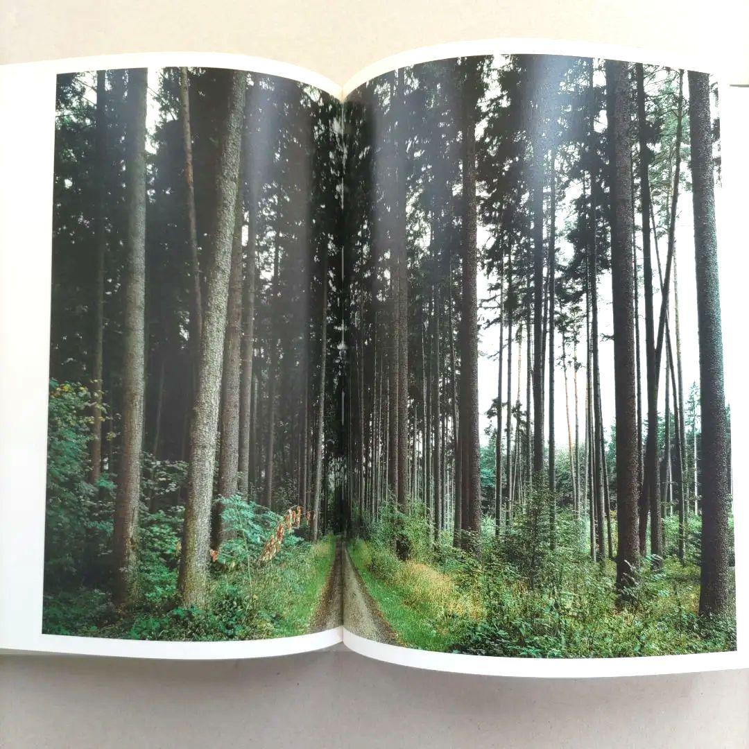 thomas struth:Dandelion Room/写真集 作品集 洋書