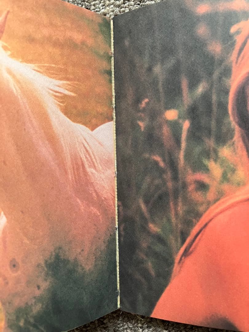 アート・デザイン・音楽 the virgin suicides / sofia coppola