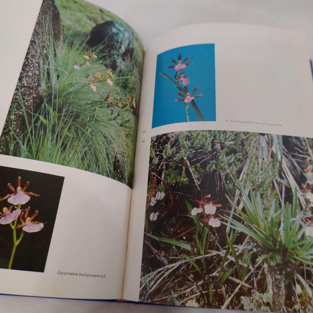 幻の本 ブラジルの野生らん