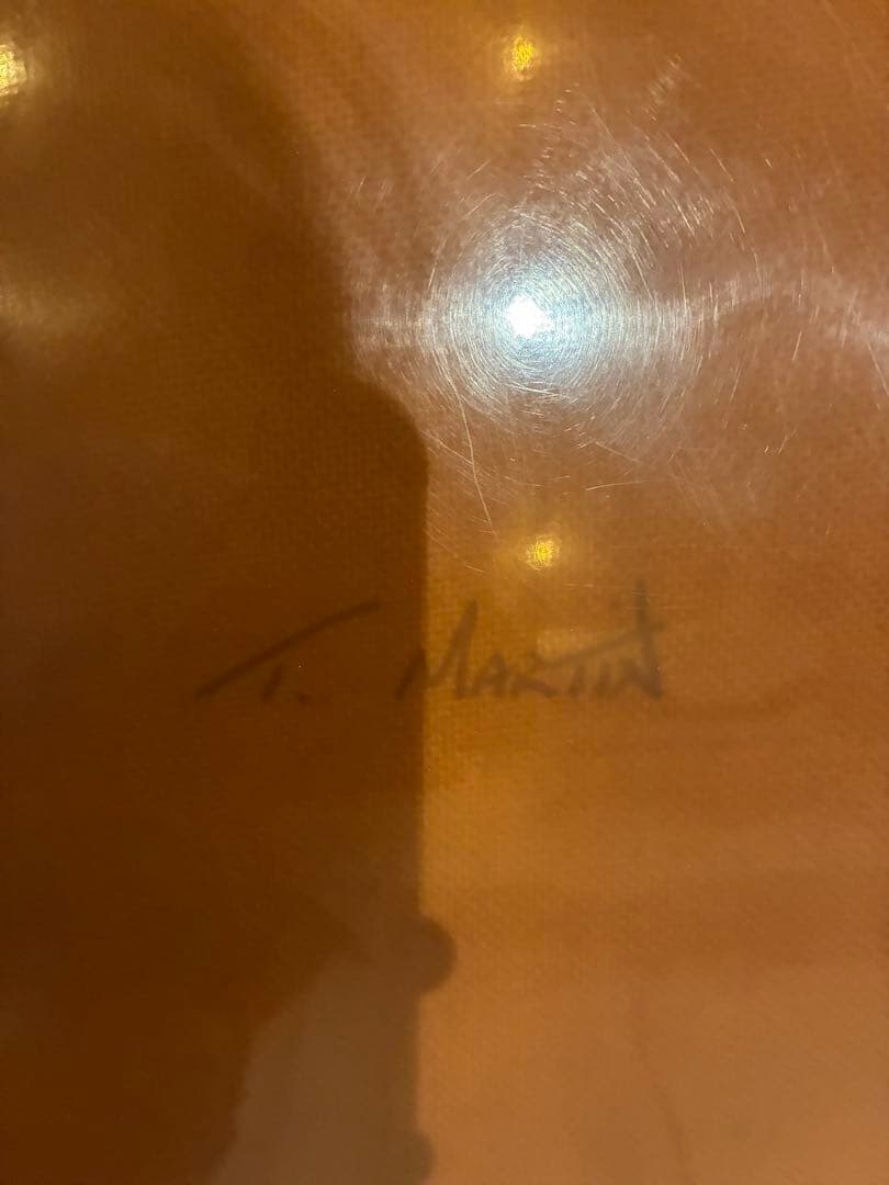 Hobie/ONE FIN PIN 9´6 ホビーサーフ　タイラーウォーレン