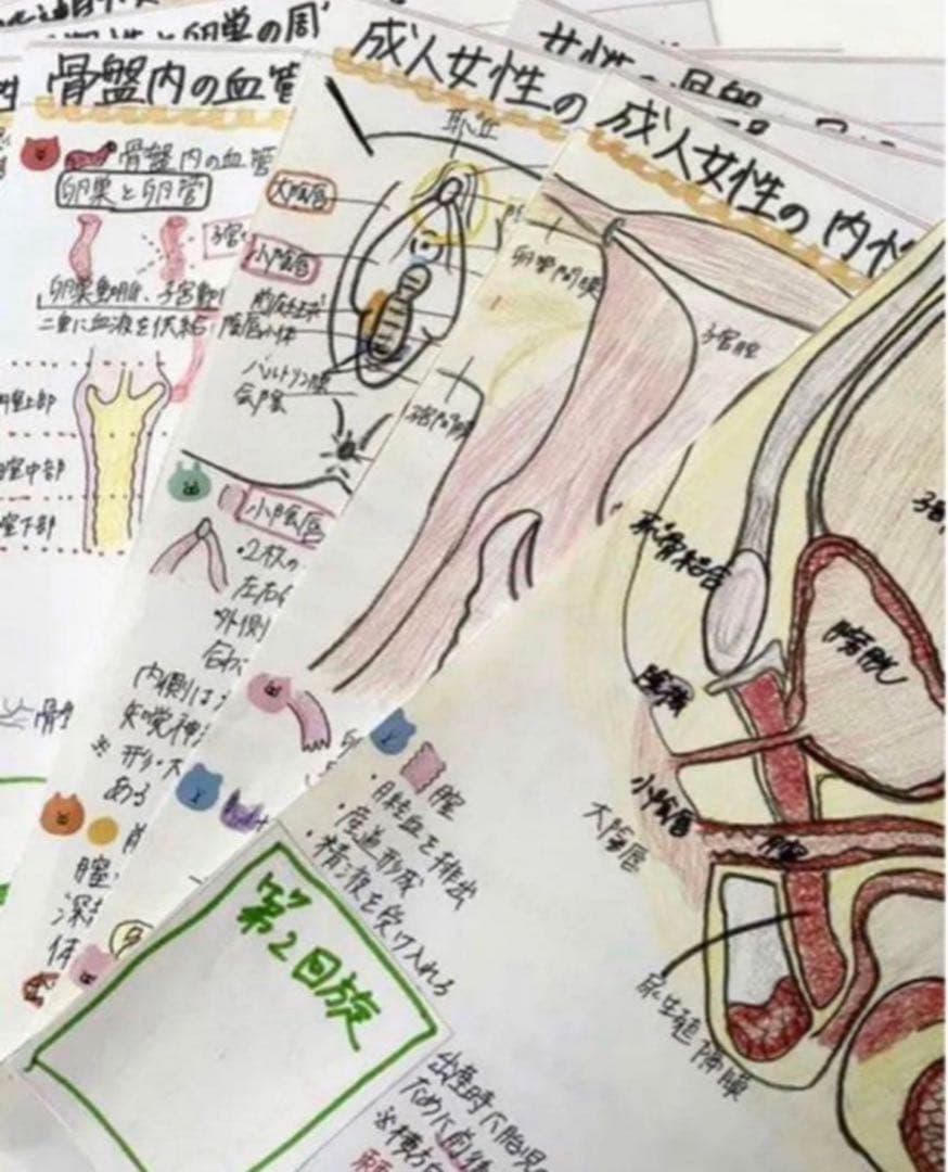 助産師　助産学生　国家試験　合格　実習味方セット　まとめノート　ポケットサイズ