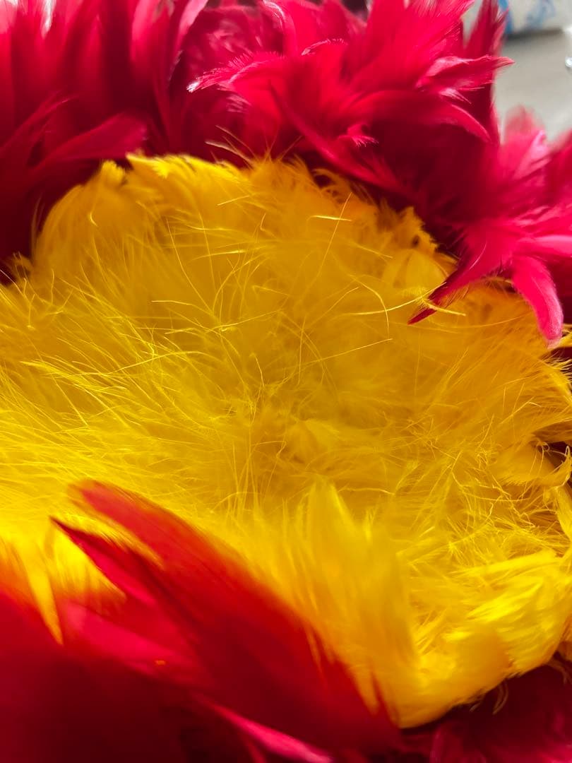 ウリウリ　フラダンス　楽器　羽のみ　ハワイ　赤　黄色