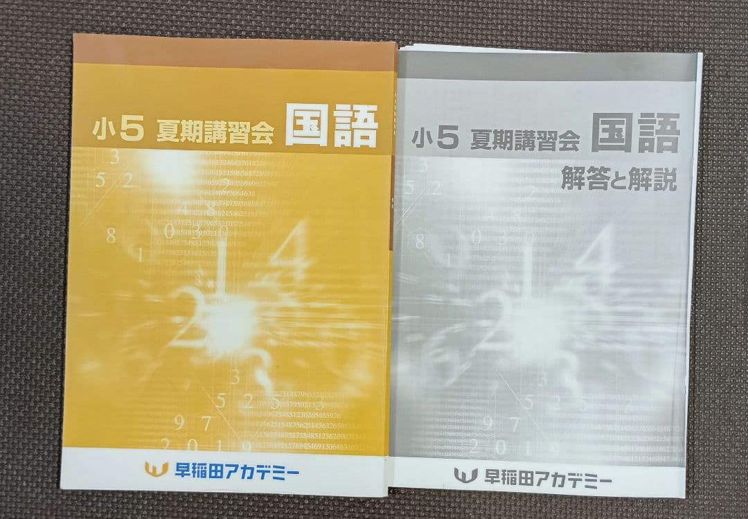 小5 夏期講習 早稲田アカデミー 早稲アカ上位校