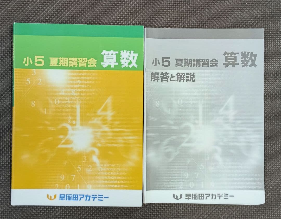 小5 夏期講習 早稲田アカデミー 早稲アカ上位校
