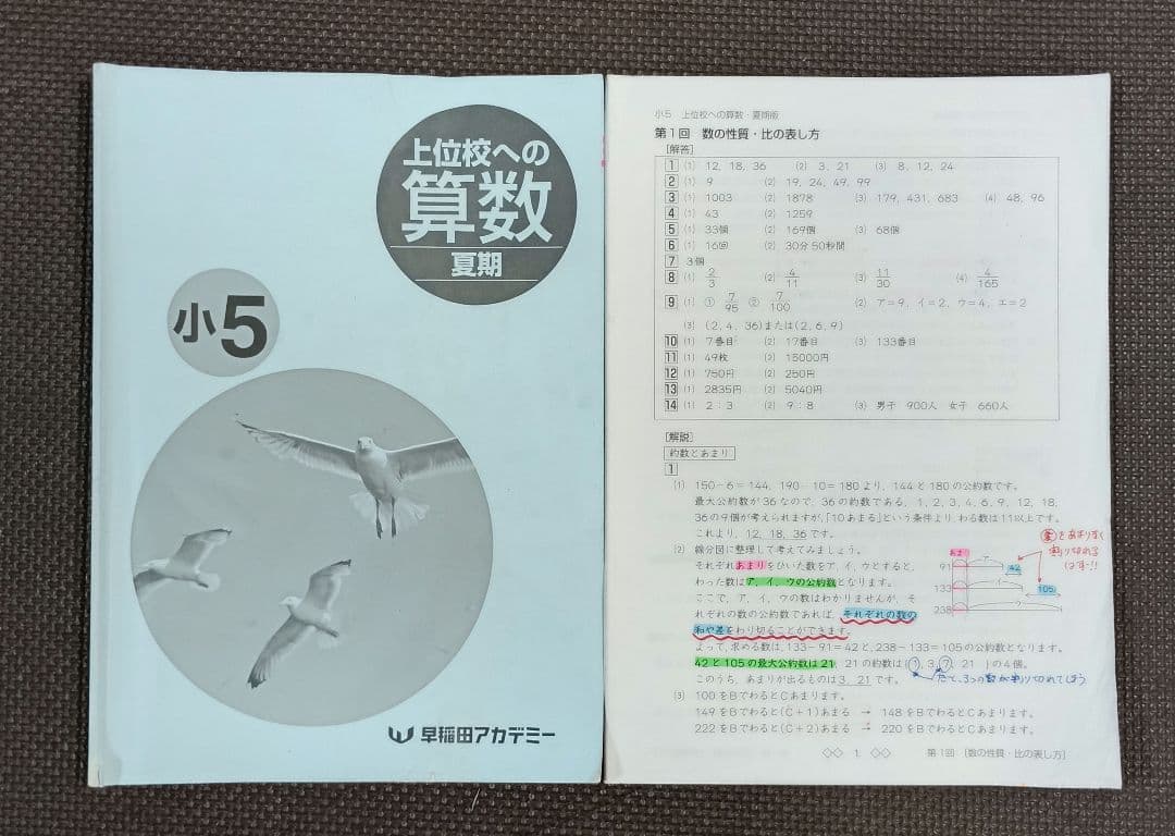 小5 夏期講習 早稲田アカデミー 早稲アカ上位校