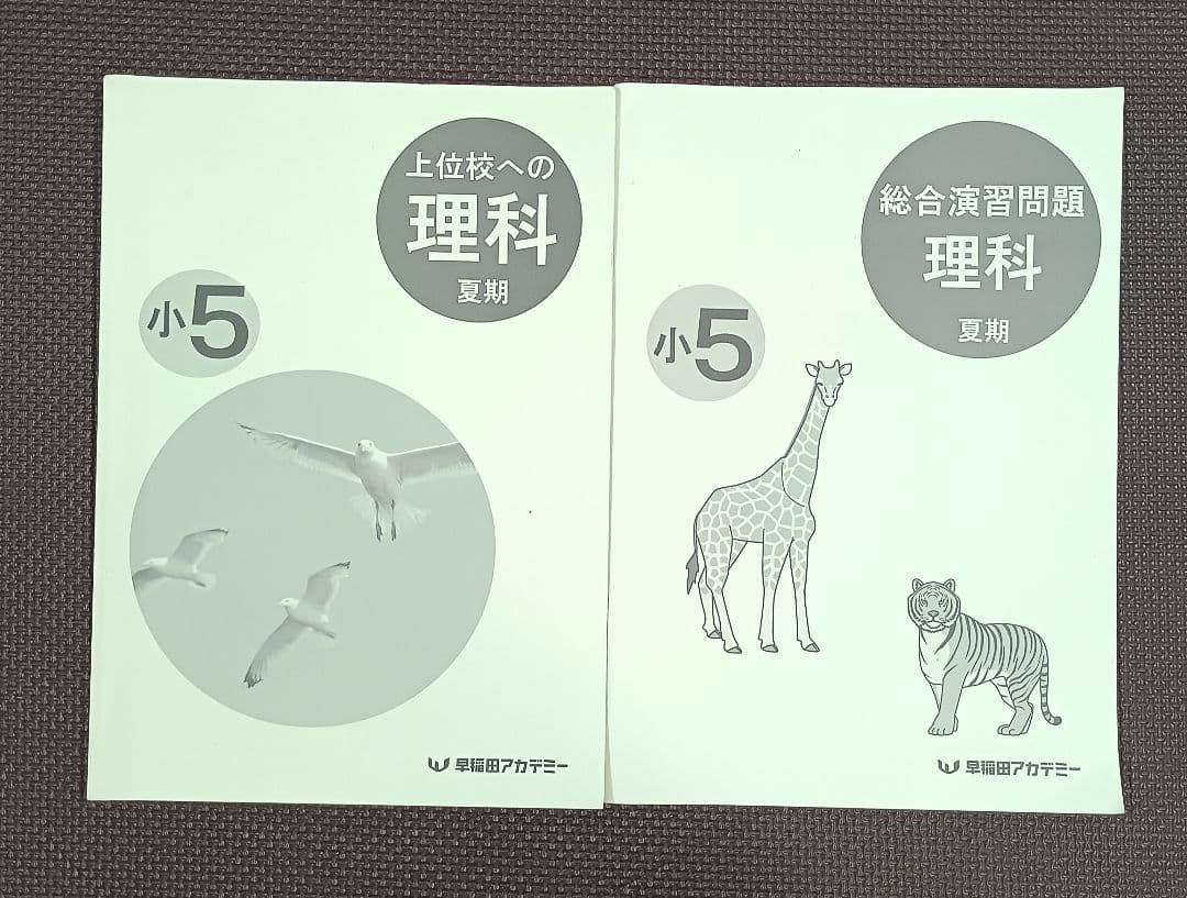 小5 夏期講習 早稲田アカデミー 早稲アカ上位校
