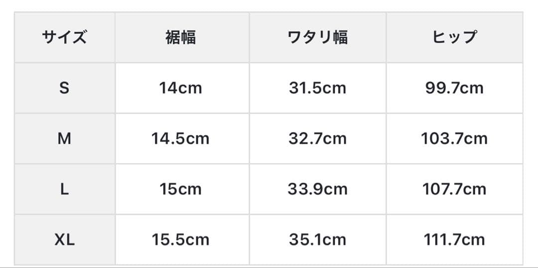 【新品タグ付き】BRIEFING ナイロンカーゴパンツ サイズL