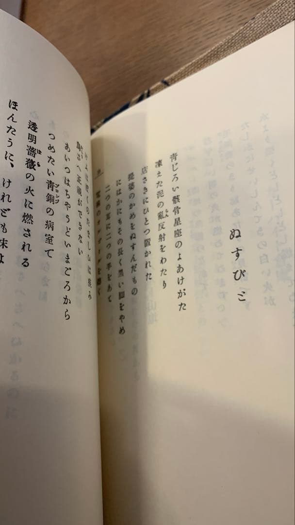 【保護函付】春と修羅 宮沢賢治 名著複刻全集　近代文学館