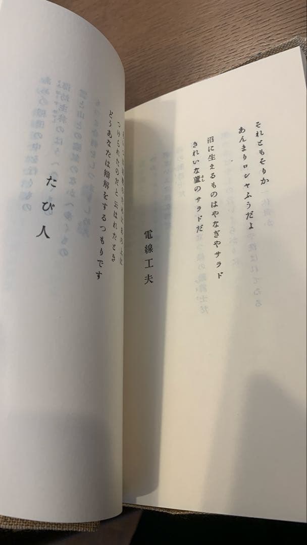 【保護函付】春と修羅 宮沢賢治 名著複刻全集　近代文学館