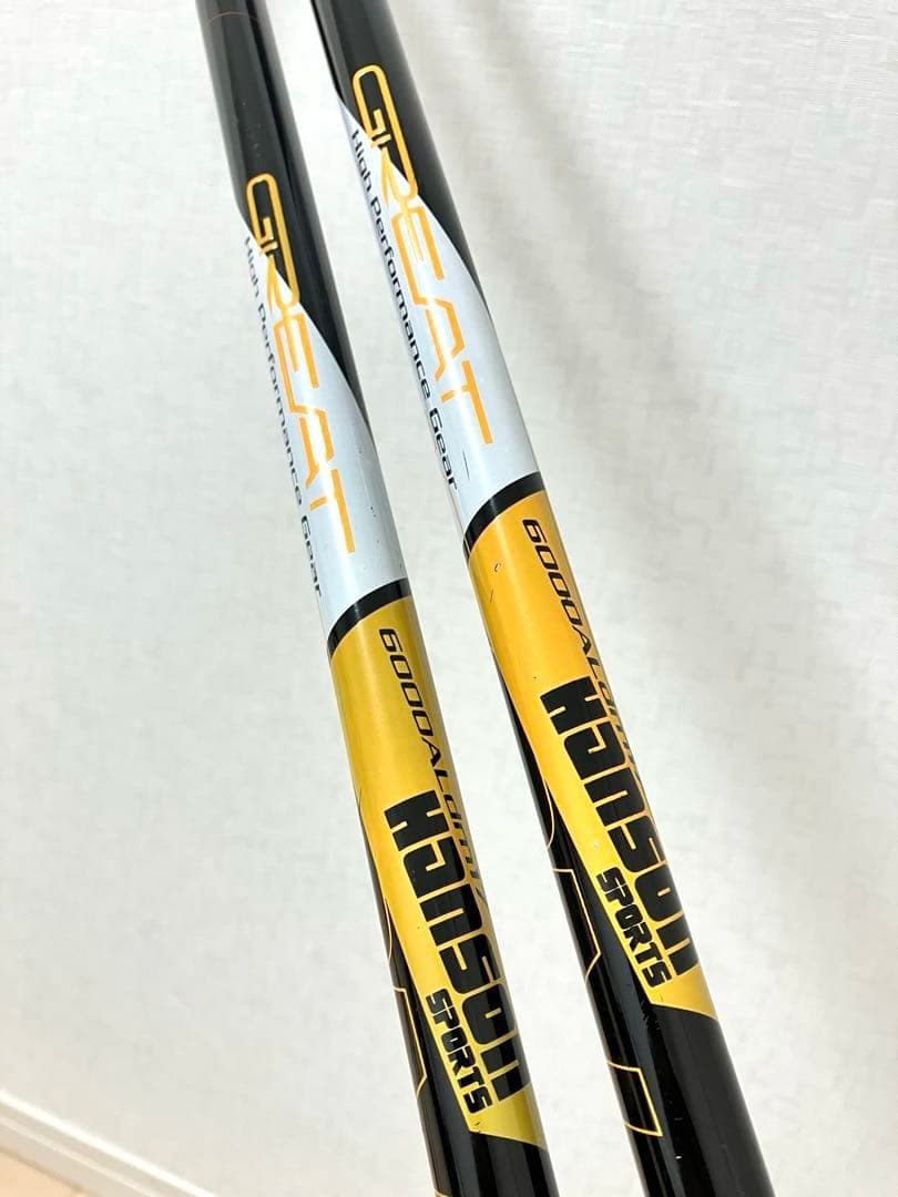 スキー 152cm DYNAMIC PERFORM VR07 大阪手渡し可能！