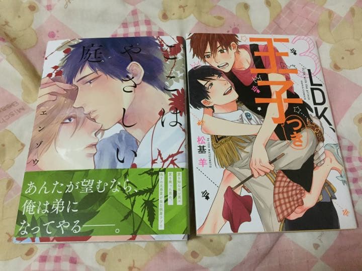 女性漫画 バラ可 セット可 11冊 BL 漫画