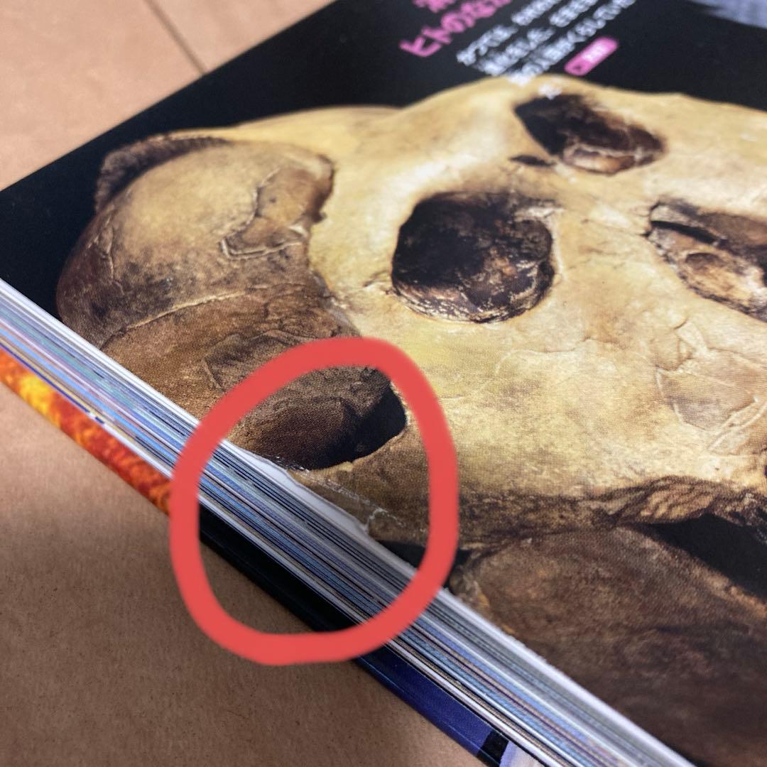 講談社の動く図鑑move ８冊セット　DVD付き