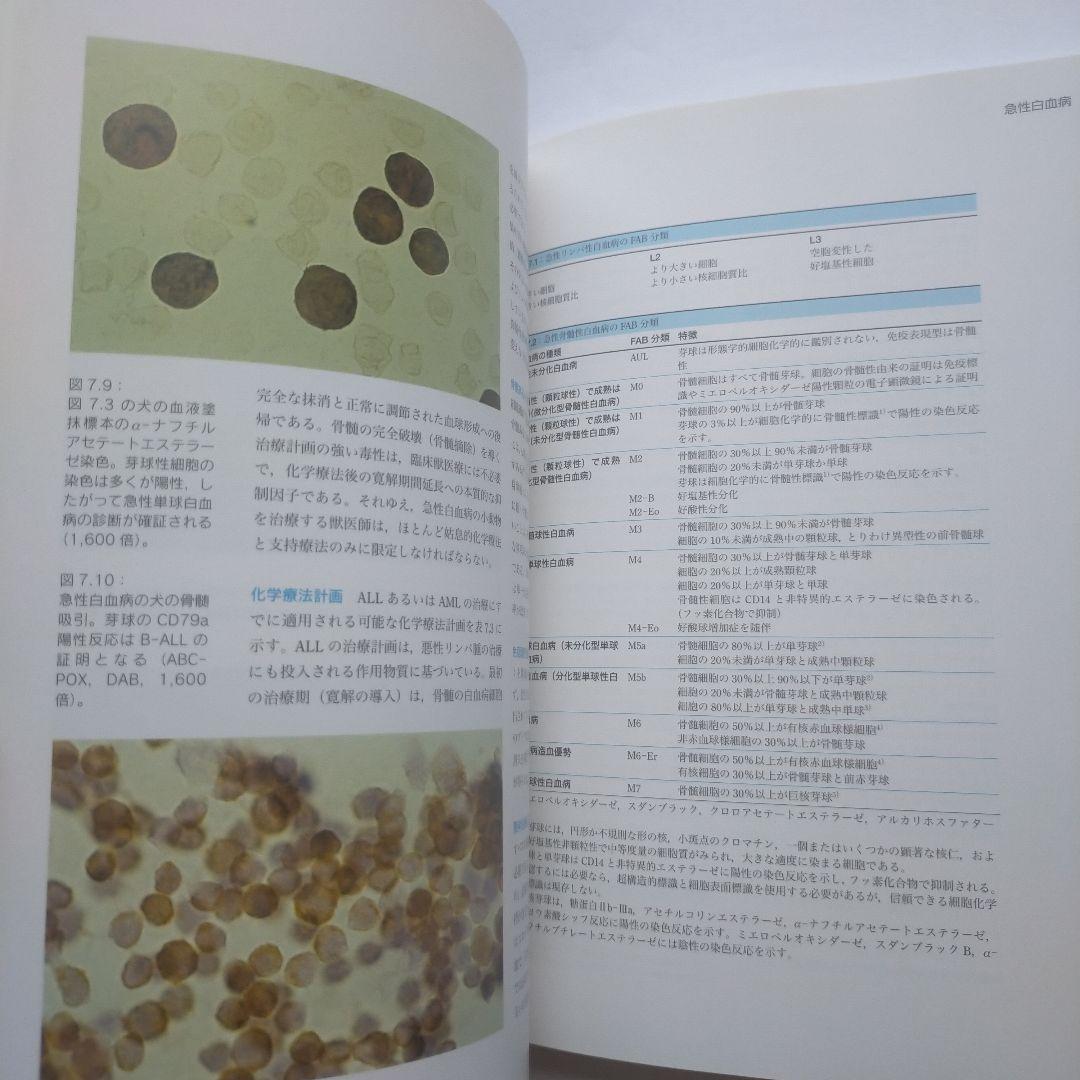 外L1231　図でみる犬と猫の実践血液学