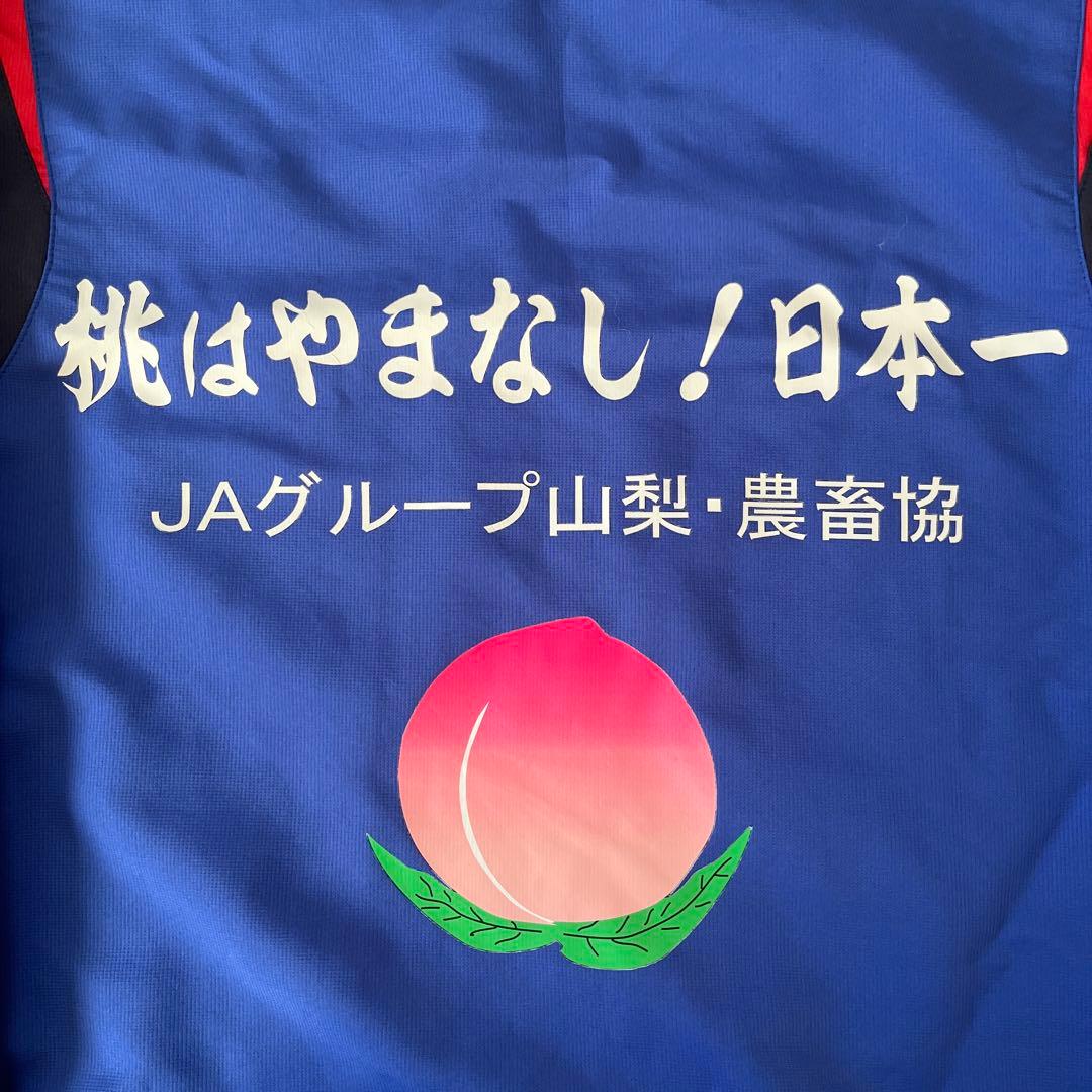 ヴァンフォーレ甲府　ウェア　ピステ　Lサイズ