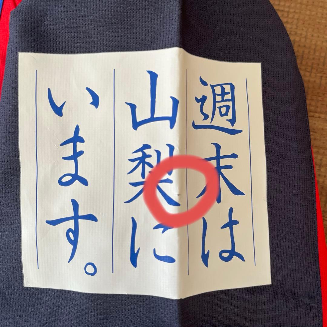 ヴァンフォーレ甲府　ウェア　ピステ　Lサイズ