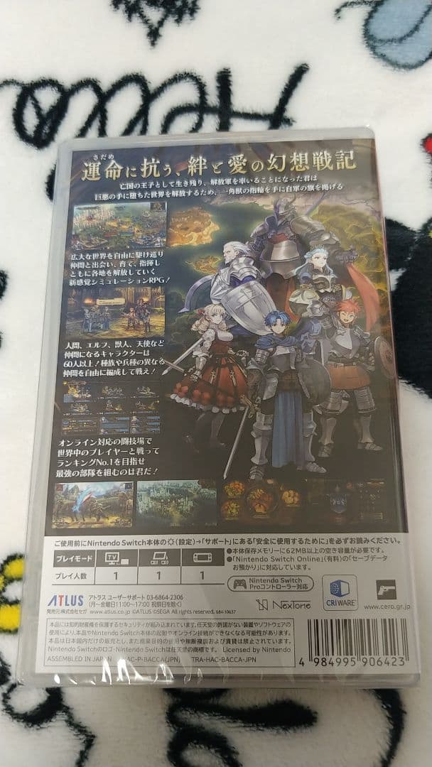 初回購入特典付 Switch ユニコーンオーバーロード 通常版