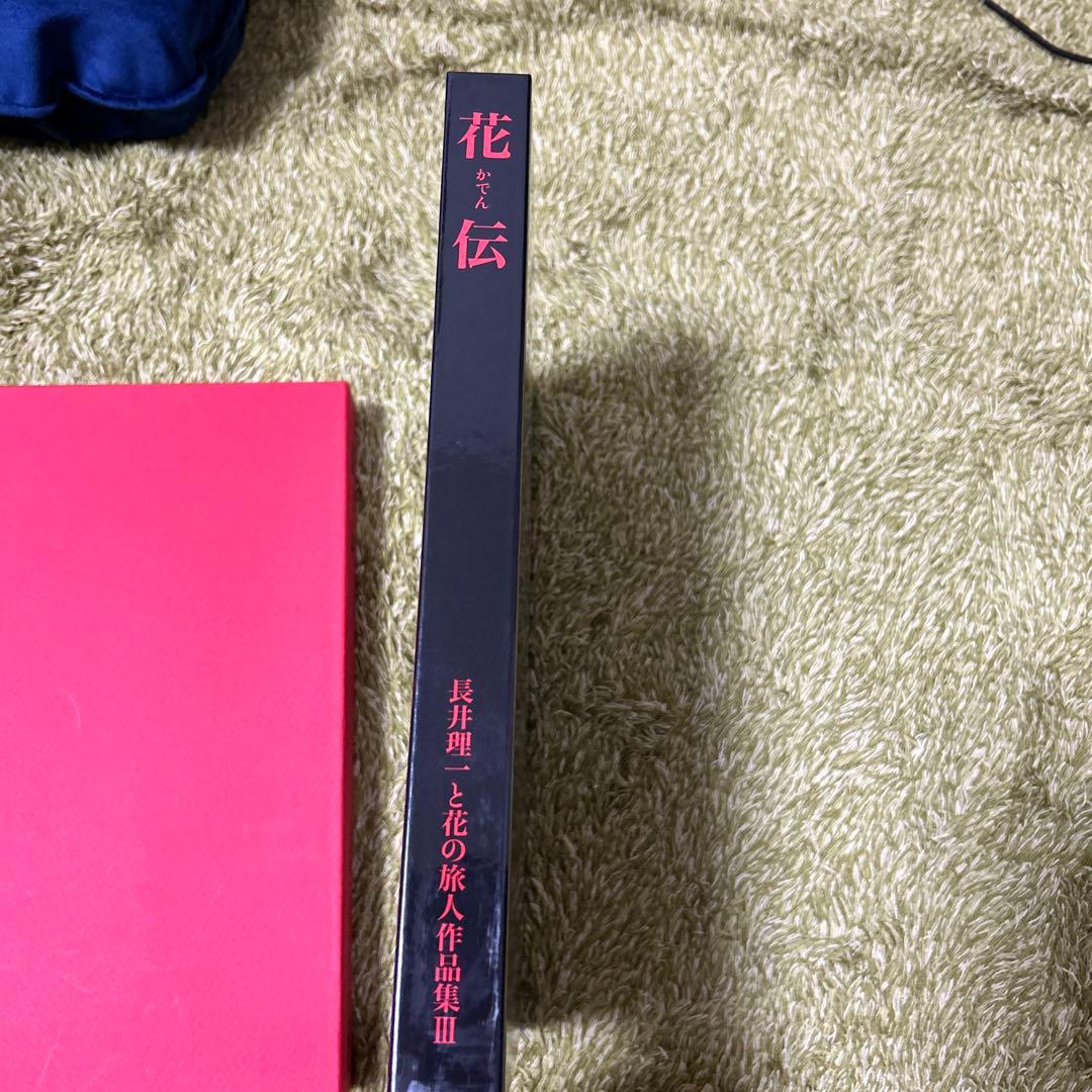 花伝　長井理一と花の旅人作品集3