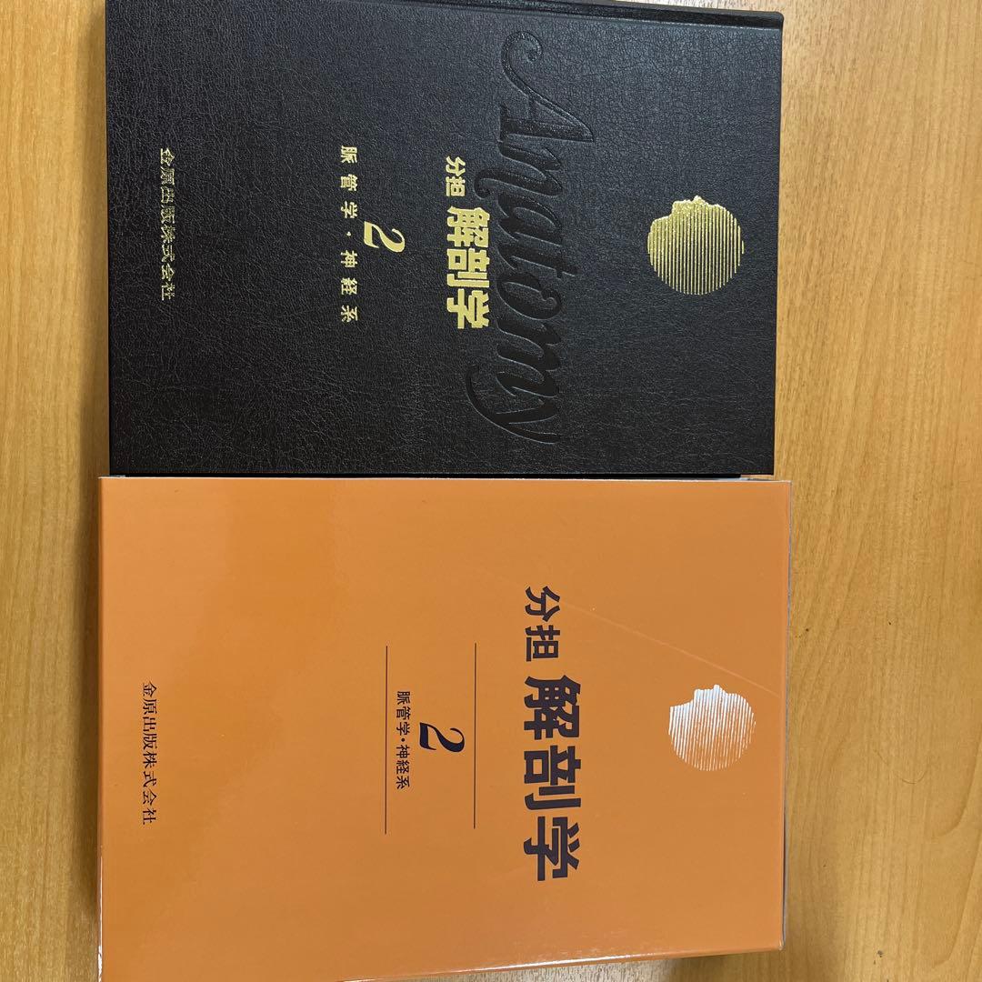 分担 解剖学 2 脳神経・神経系