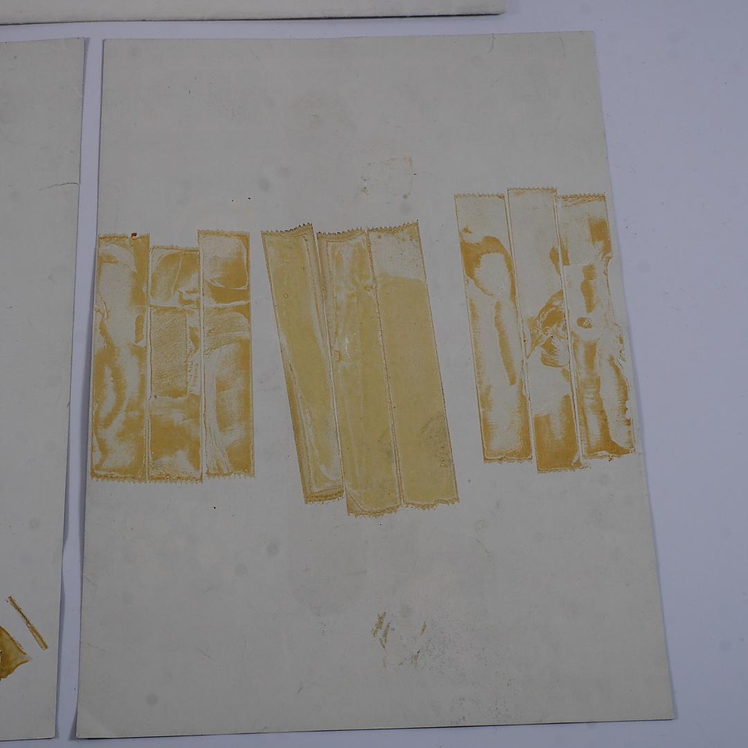 純正インスト+取扱説明書　バイパーフェイズ1　VIPERPHASE1　SEIBU