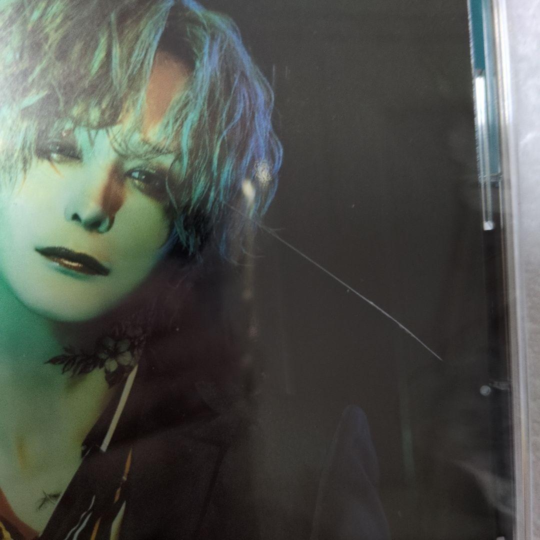 luz AMULET 新品未開封CD 通常版 ★ブロマイド