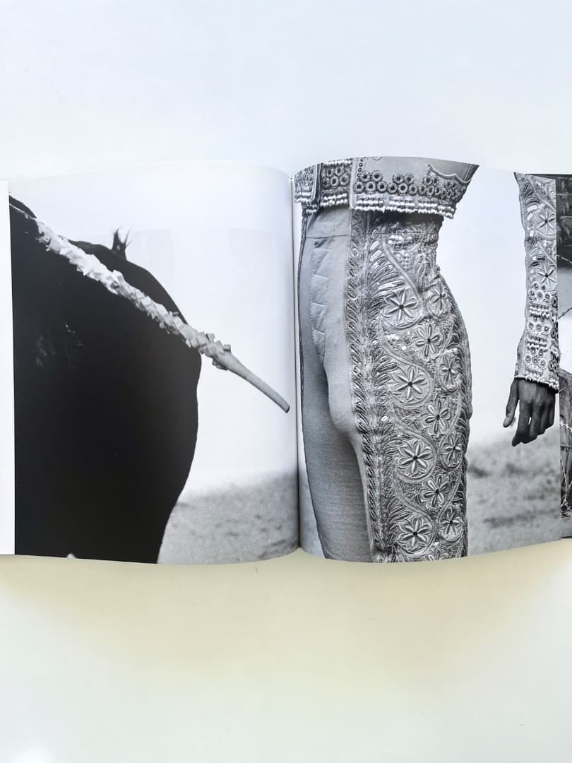 アート・デザイン・音楽 isabel munoz choreographie des begehrens