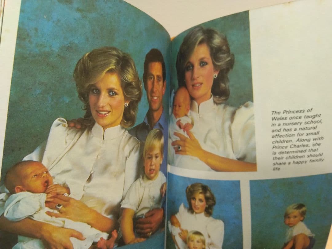 洋書  Family Ladybird Books