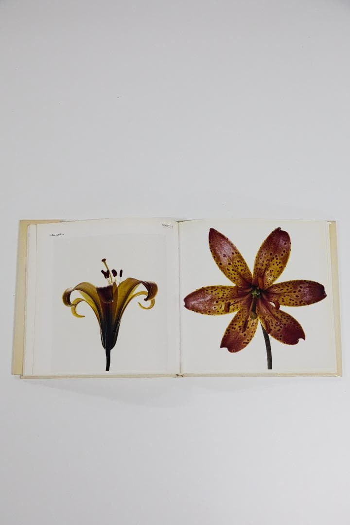 Irving Penn Flowers アーヴィングペン フラワーズ 写真集
