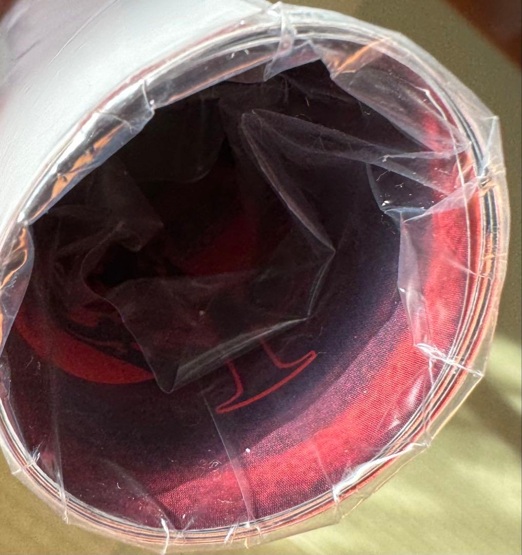 稲葉浩志 enIV 3DVD / B'z FYOP会場限定 B2ポスター A