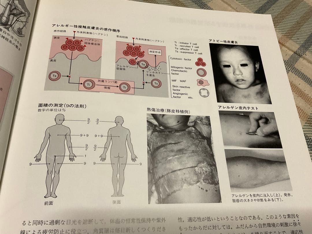 ナースが視る病気と、ナースが視る人体（医学書）講談社。【これから医師を目指す方】