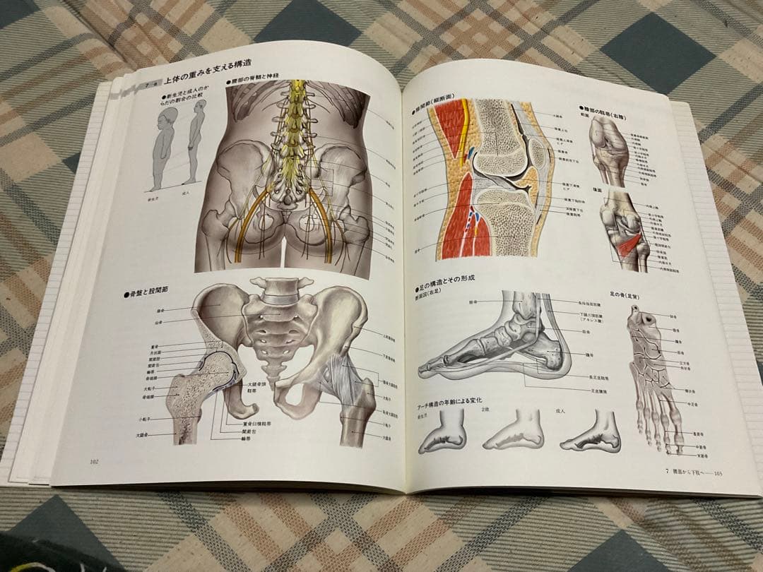 ナースが視る病気と、ナースが視る人体（医学書）講談社。【これから医師を目指す方】