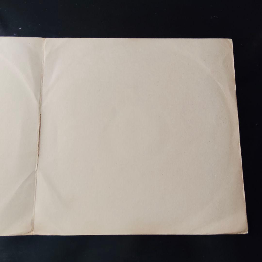 ナラ・レオン　Nara Leão　Nara leao　レコード　latin