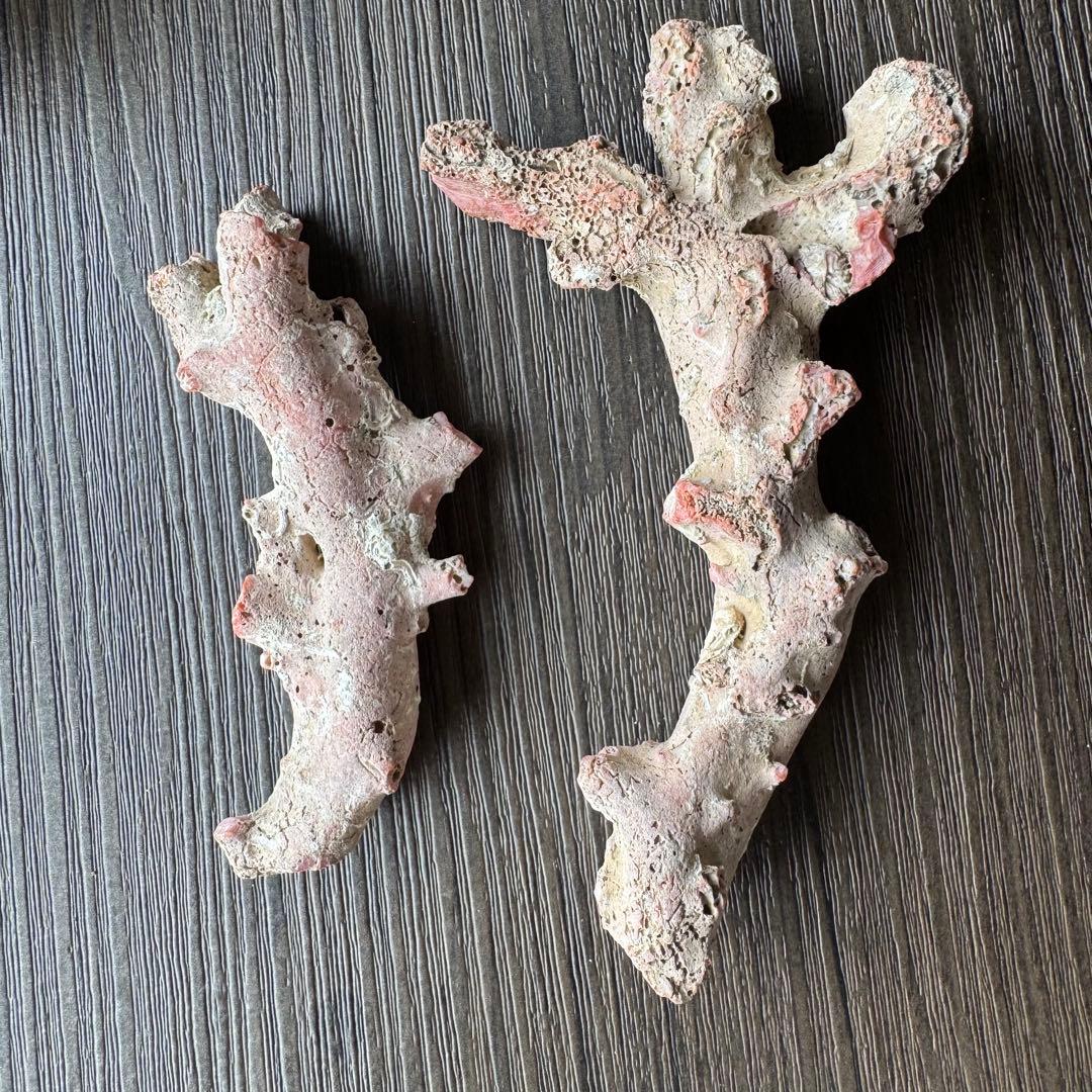 珊瑚　原木　桃色　コーラルピンク系　総量235.5g