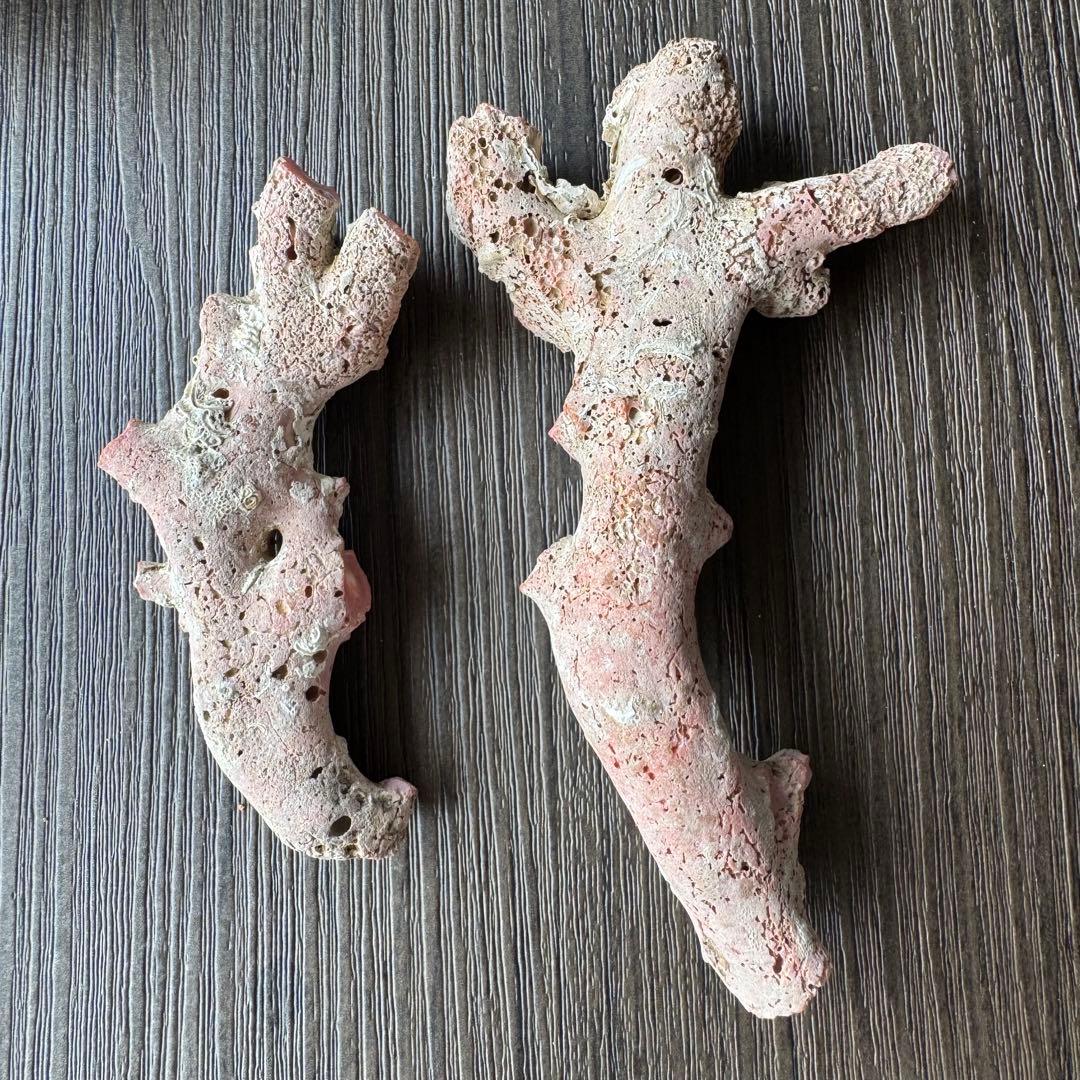 珊瑚　原木　桃色　コーラルピンク系　総量235.5g