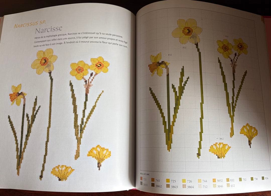 DMCクロスステッチ　洋書