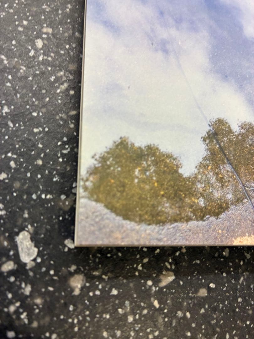 9mm parabellum bullet The World e.p. 楽譜