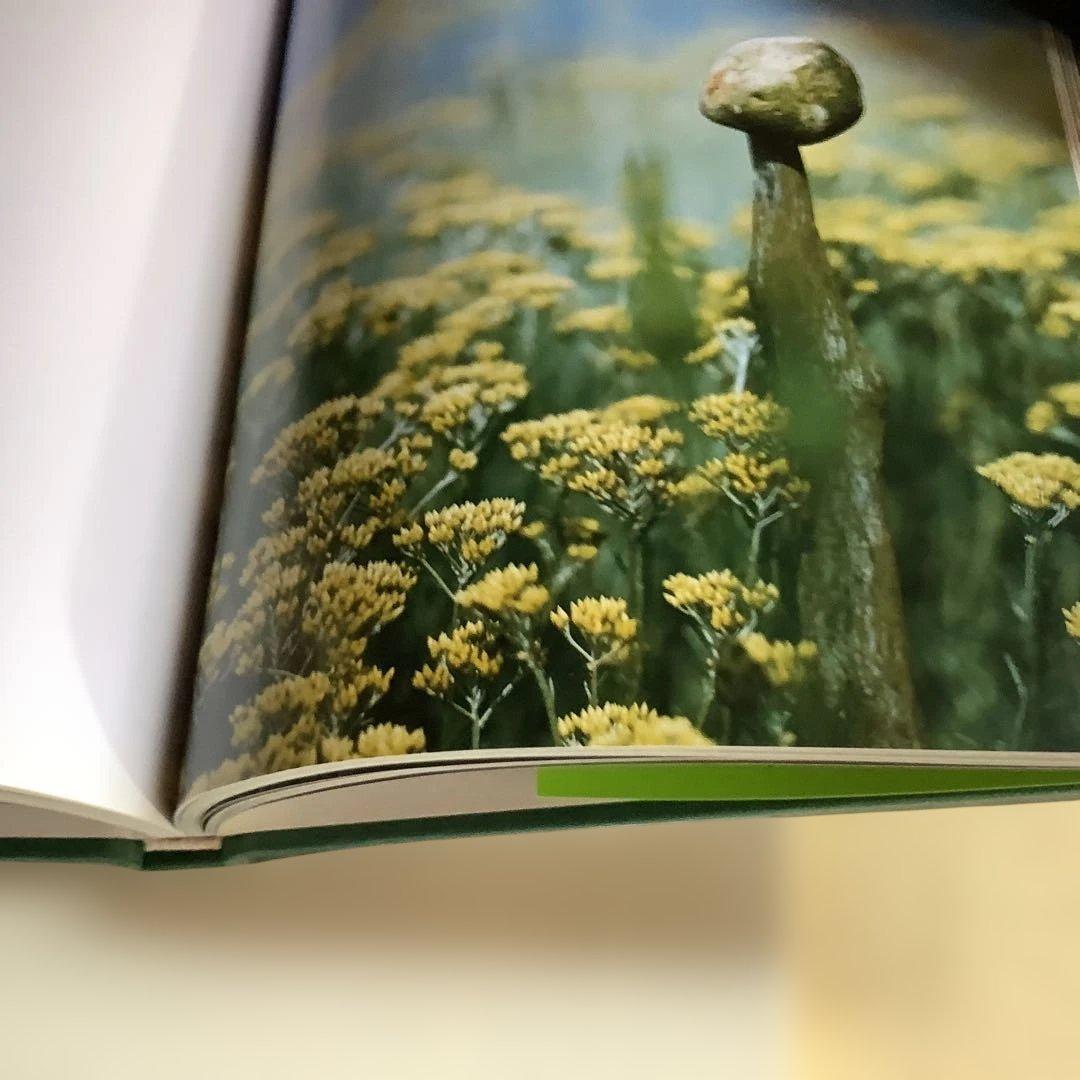 洋書 derek jarman's garden