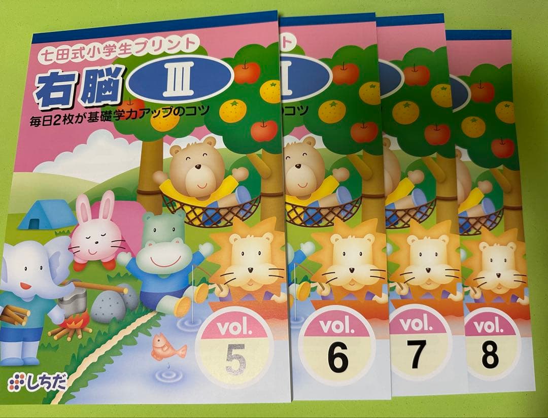 七田式 小学生プリント 右脳 III 学習プリント しちだ