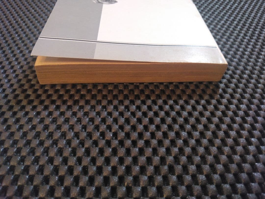 稀少【vintageコミック】雌猫のリンチ　岩越国雄　サン出版