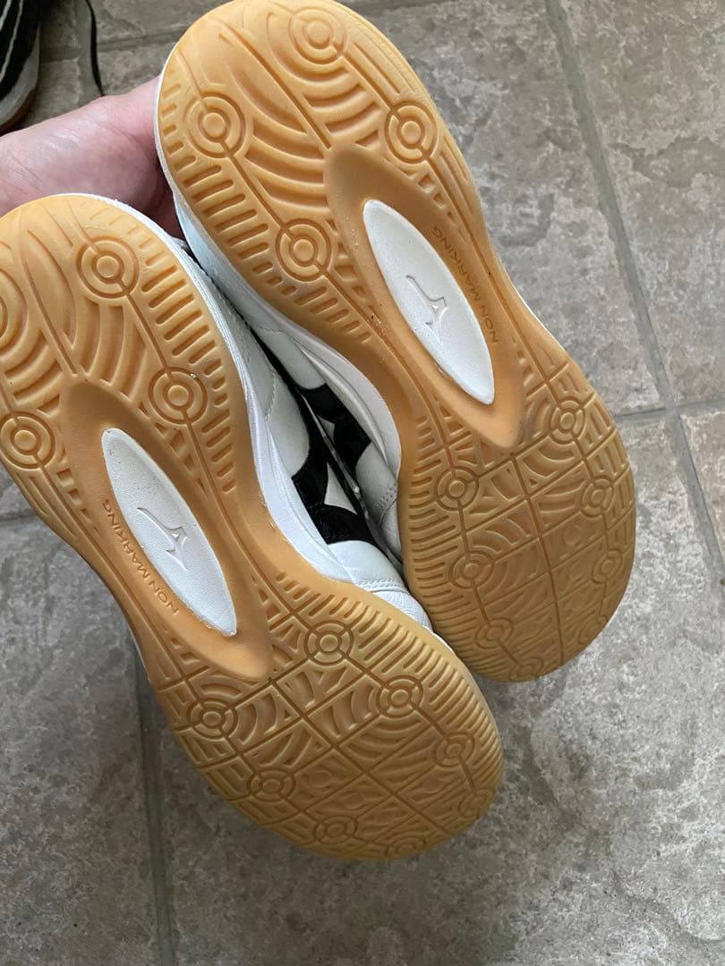 ミズノ　モレリアin 25.0cm