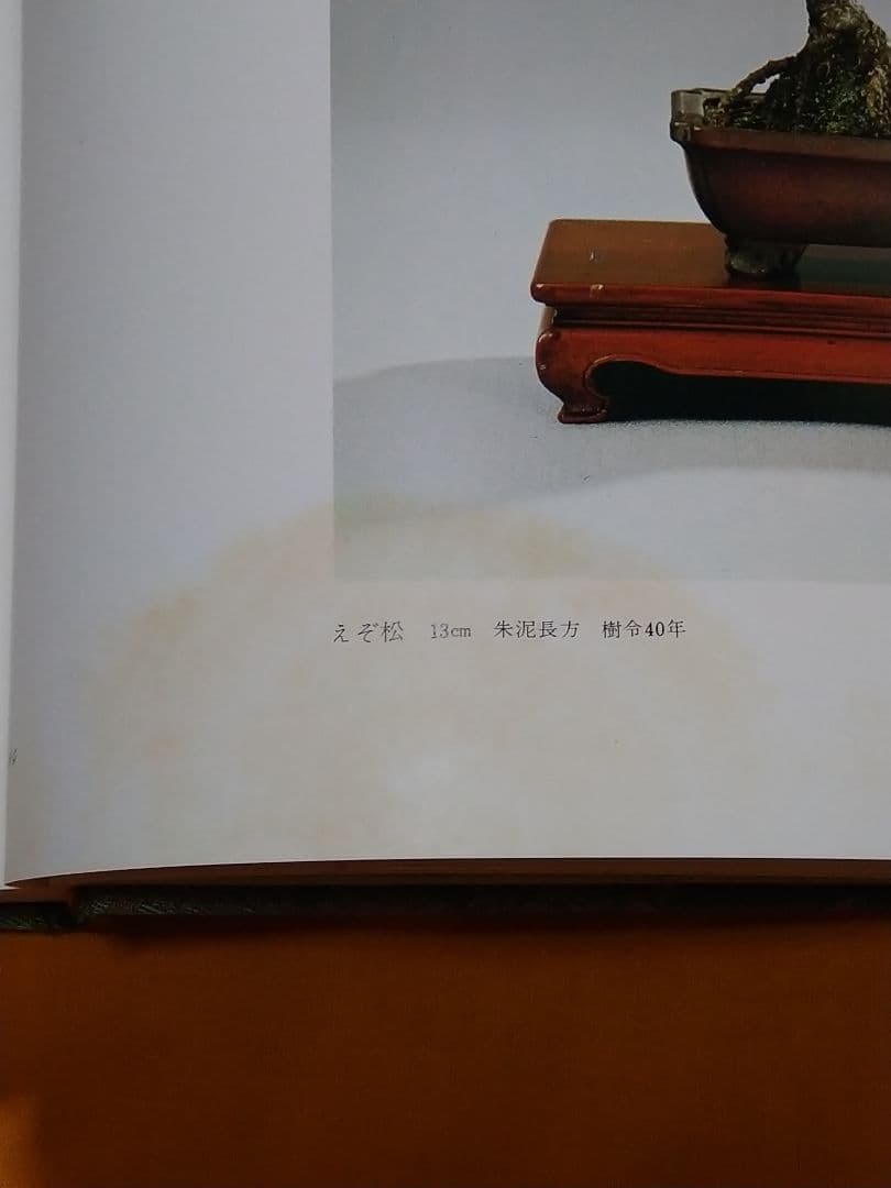 【限定版】松平家に生きる珠玉の名品　小品盆栽　日本盆栽協会創立十周年記念出版