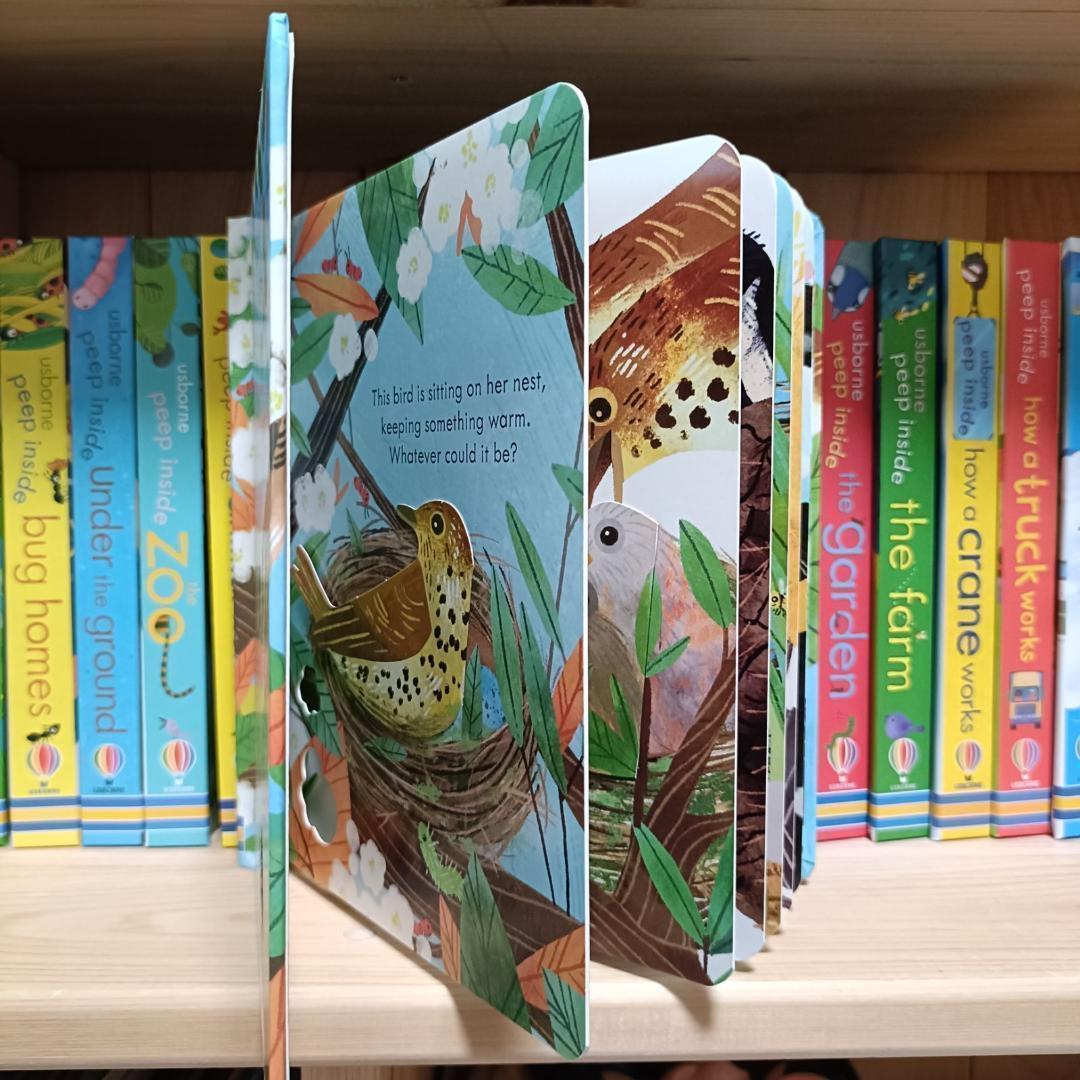 Peep Inside Usborne しかけ絵本　絵本　英語　幼児　英語教育