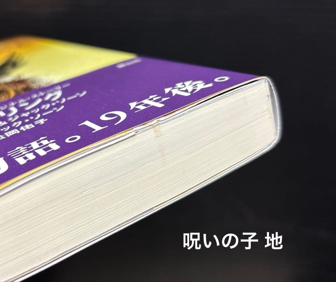 ハリー・ ポッター 携帯版 10冊 呪いの子 ファンタスティックビースト 2冊