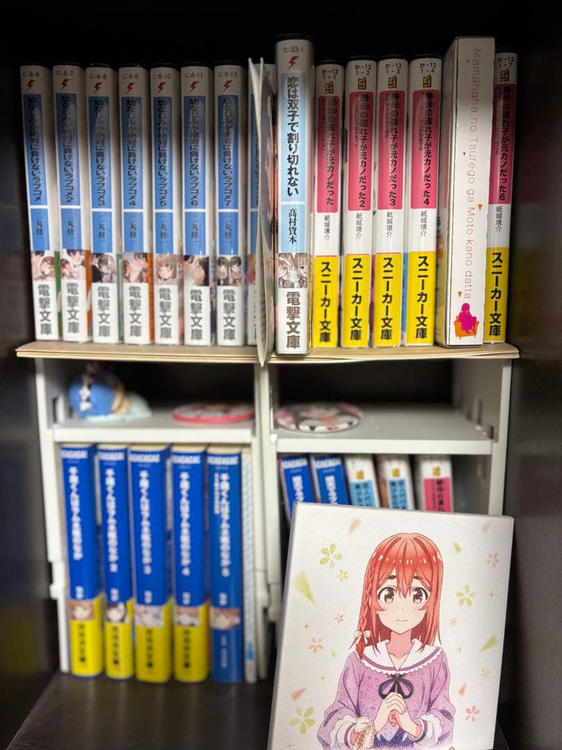 [1月13日までの限定出品]漫画ラノベ各種