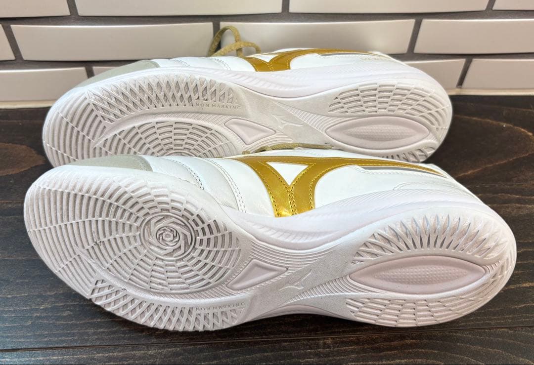 MORELIA SALA ELITE IN モレリア サラ エリート イン